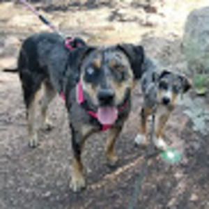 Meet your Posher, Monica